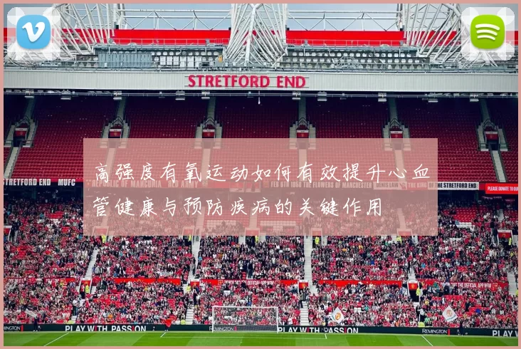 高强度有氧运动如何有效提升心血管健康与预防疾病的关键作用