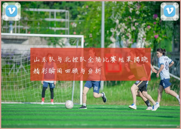 山东队与北控队全场比赛结果揭晓精彩瞬间回顾与分析
