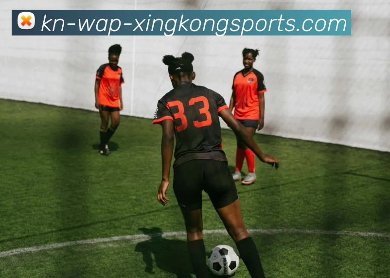 星空体育官网APP 封面图